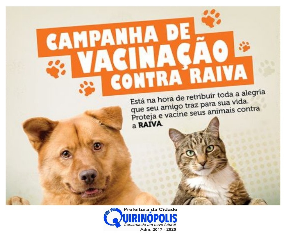 Download A Vacinação De Cães E Gatos - Caes E Gatos Desenho - Full